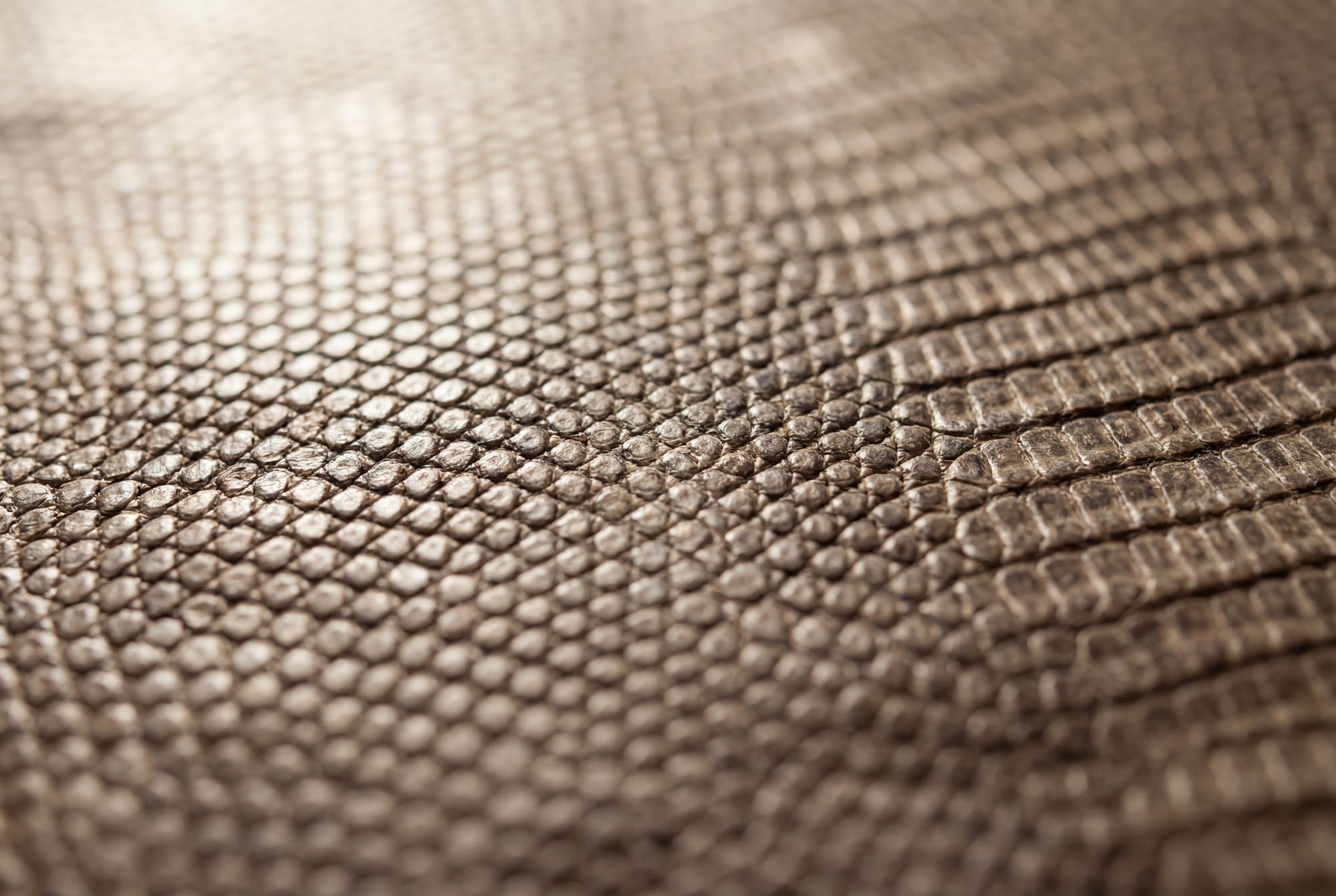 Sartipi Uhrenarmband