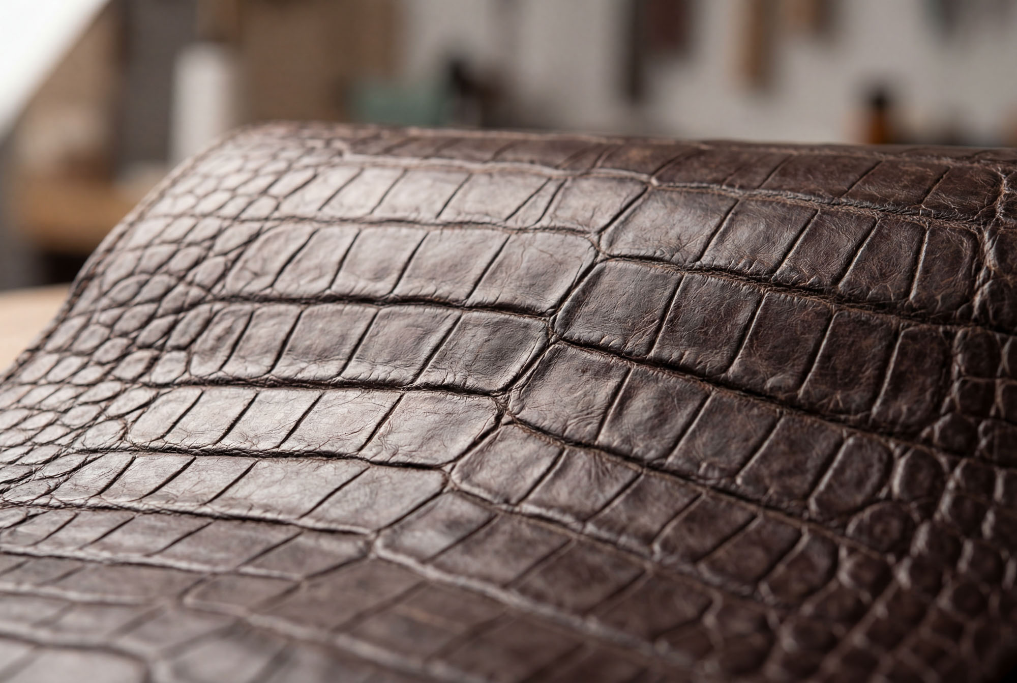 Alligatorleder